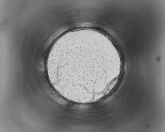 X0000111681209200908281127