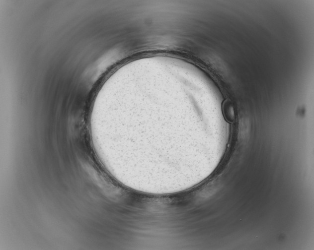 X0000111681210200908281127