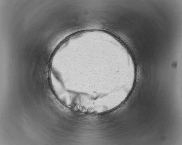 X0000111681212200908281127