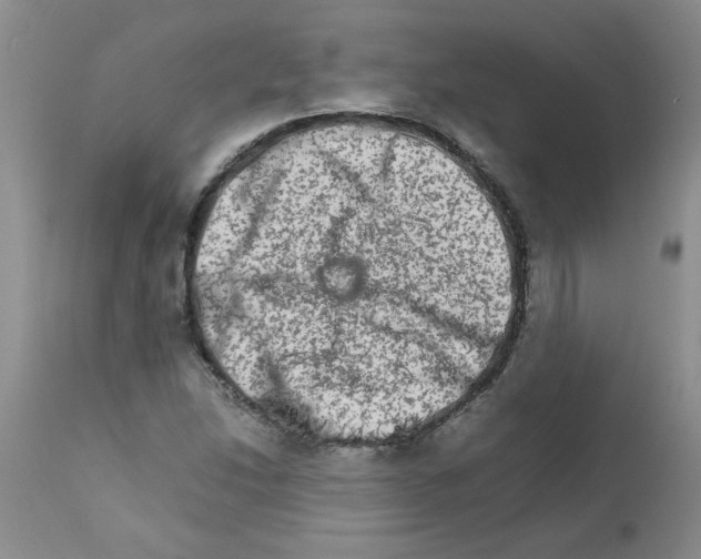 X0000111681214200908281128