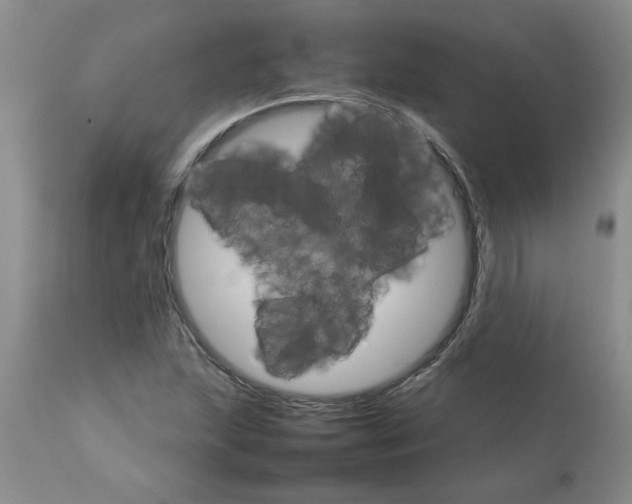 X0000111681215200908281128