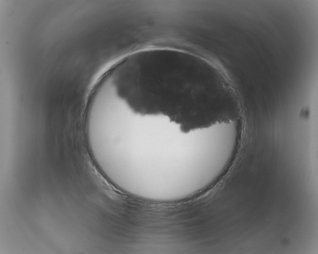 X0000111681216200908281128