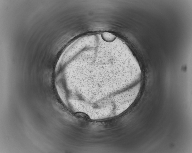 X0000111681217200908281128