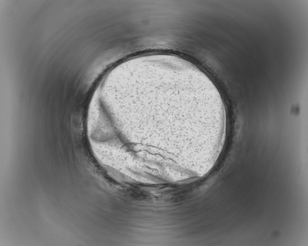 X0000111681218200908281128