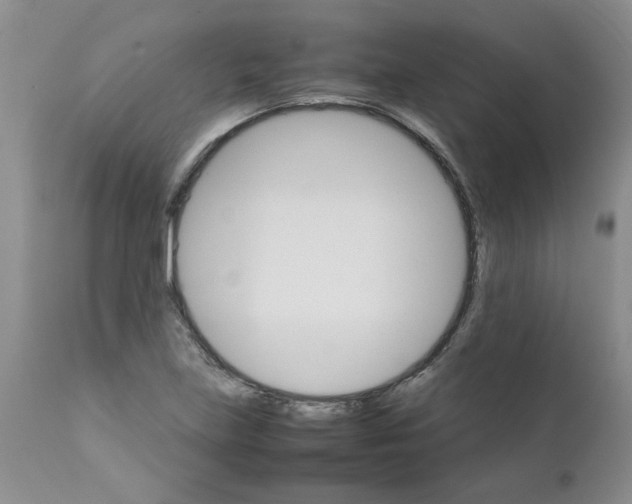 X0000111681219200908281128