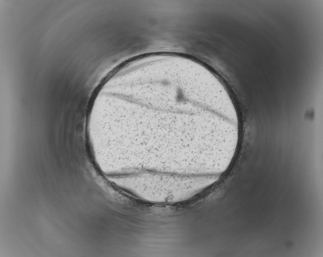 X0000111681220200908281128