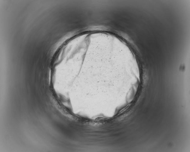 X0000111681221200908281128