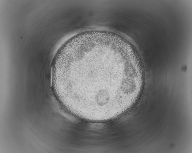 X0000111681223200908281128