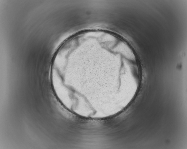 X0000111681224200908281128