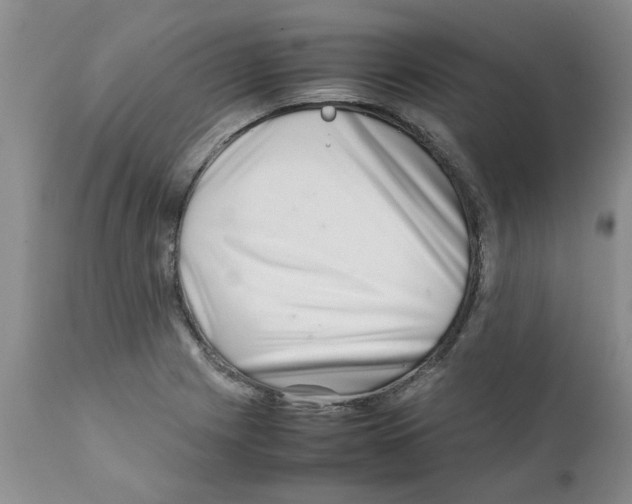 X0000111681225200908281128