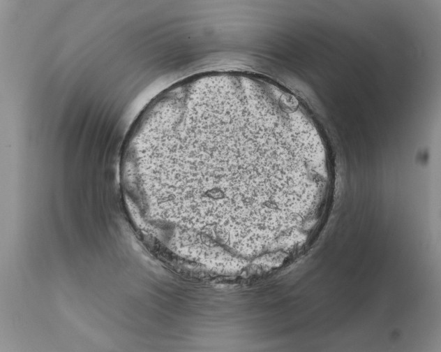 X0000111681226200908281128