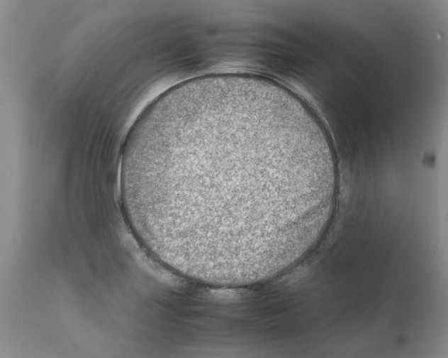 X0000111681227200908281128