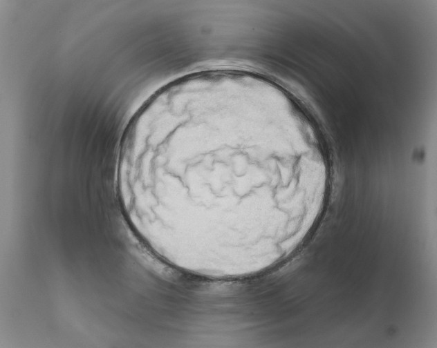 X0000111681228200908281128