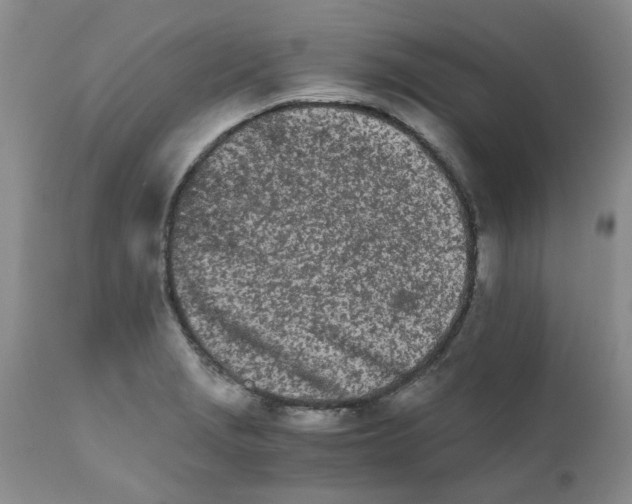 X0000111681229200908281128