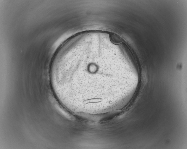 X0000111681230200908281128