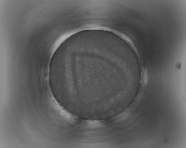 X0000111681231200908281128