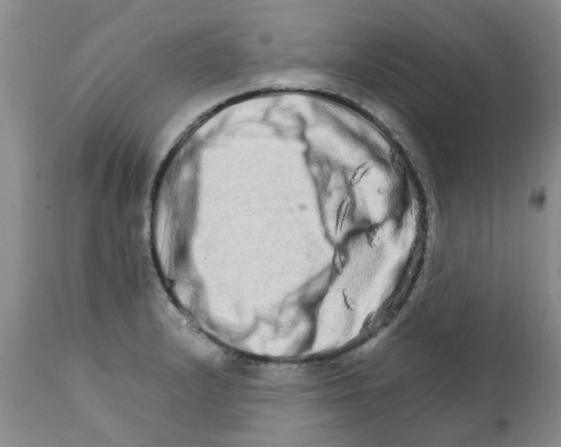 X0000111681232200908281128