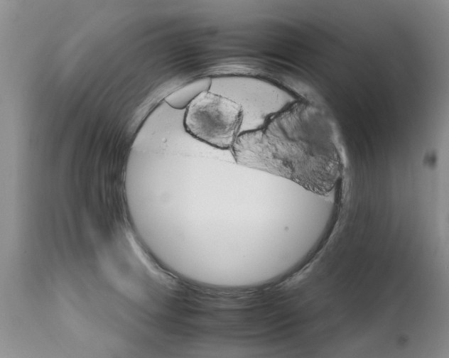 X0000111681233200908281128