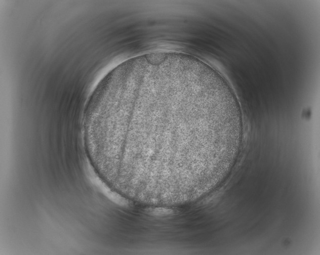 X0000111681235200908281128