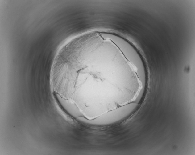 X0000111681237200908281128