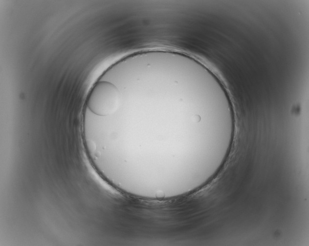 X0000111681239200908281128