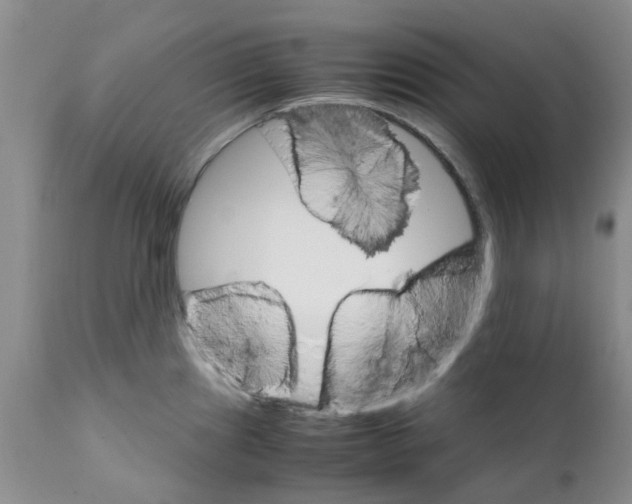 X0000111681241200908281128