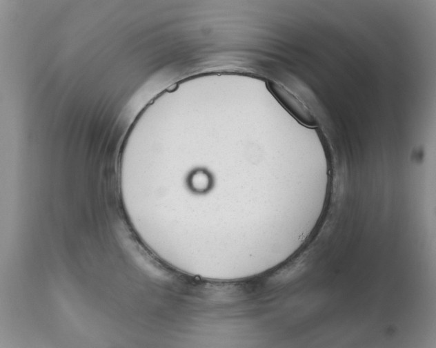 X0000111681242200908281128