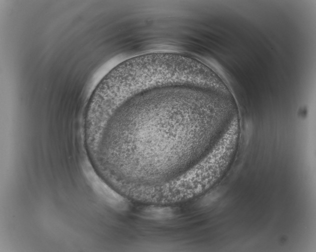 X0000111681243200908281128