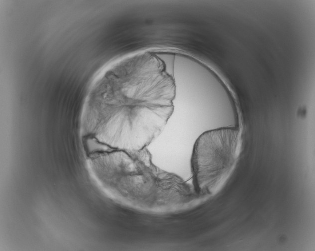 X0000111681245200908281128