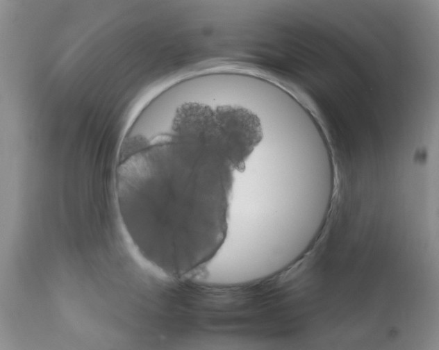 X0000111681247200908281128