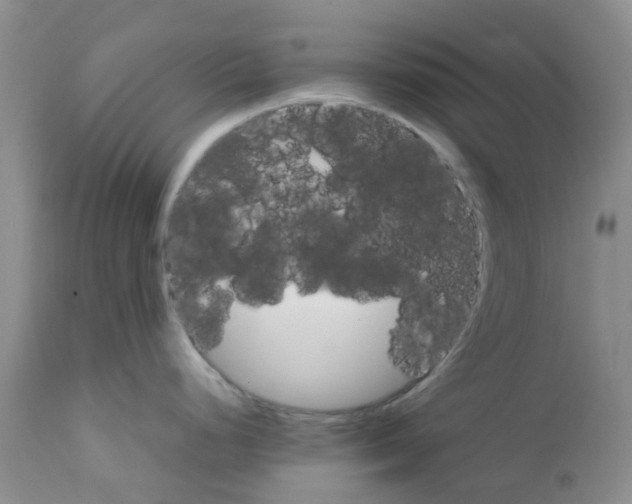 X0000111681248200908281128