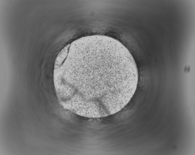 X0000111681249200908281127