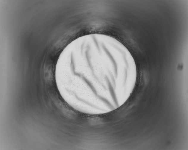 X0000111681250200908281127