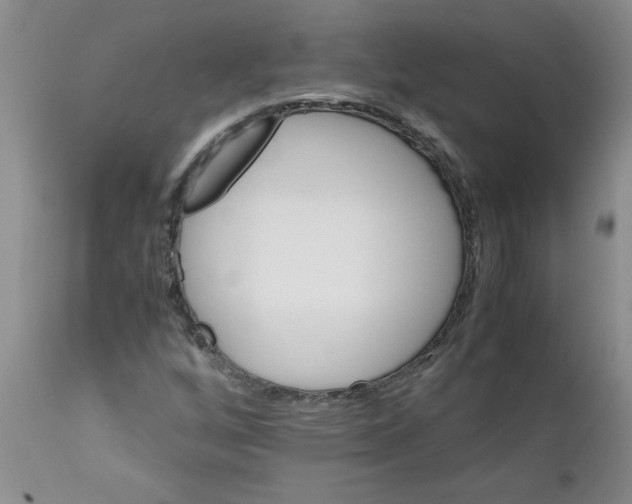 X0000111681256200908281127