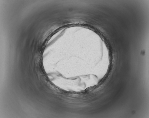 X0000111681257200908281127