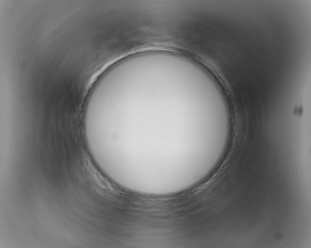 X0000111681260200908281127