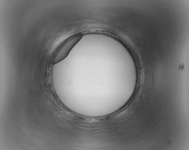 X0000111681261200908281127