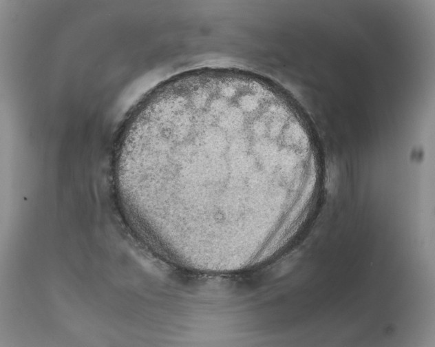 X0000111681263200908281127