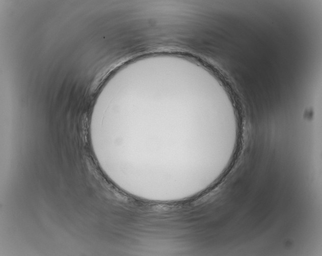 X0000111681265200908281127