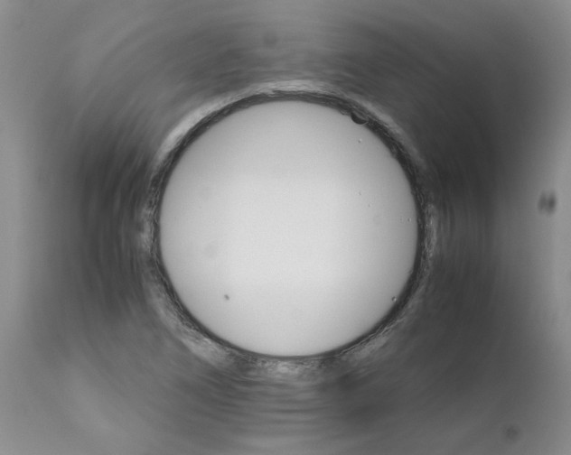 X0000111681266200908281127