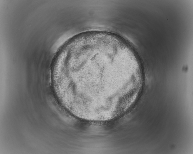 X0000111681267200908281127