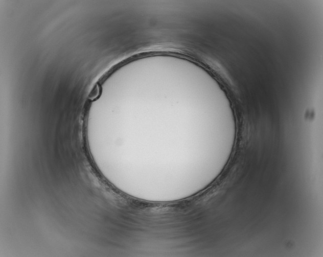 X0000111681268200908281127