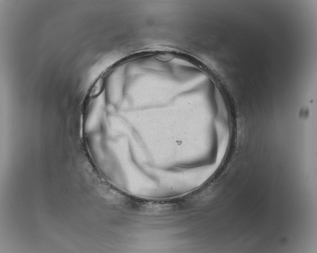 X0000111681269200908281127