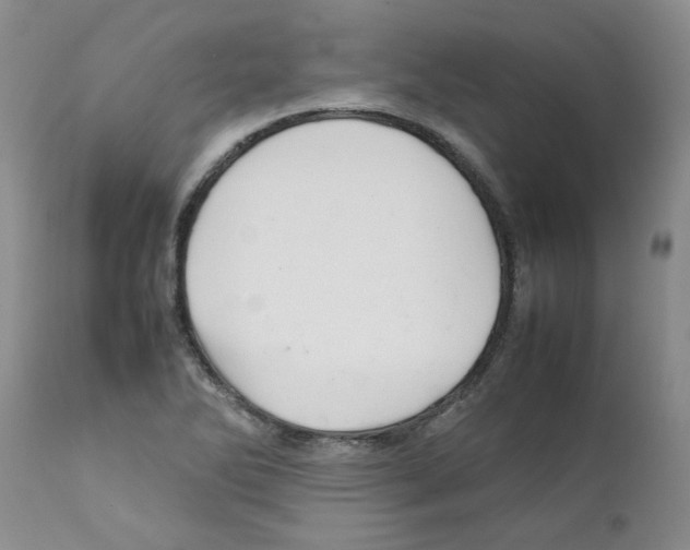 X0000111681270200908281127