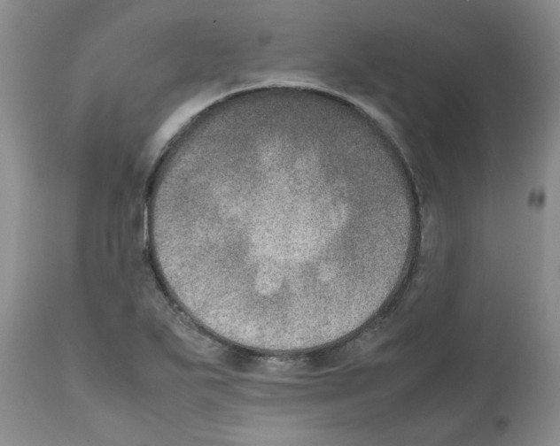 X0000111681271200908281127