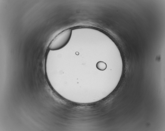 X0000111681272200908281127