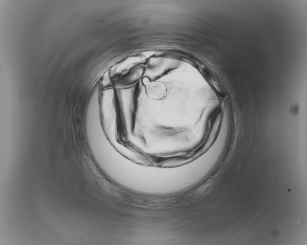 X0000111681273200908281127