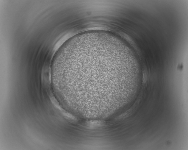 X0000111681274200908281127