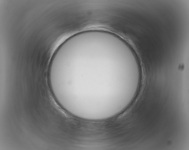 X0000111681277200908281127