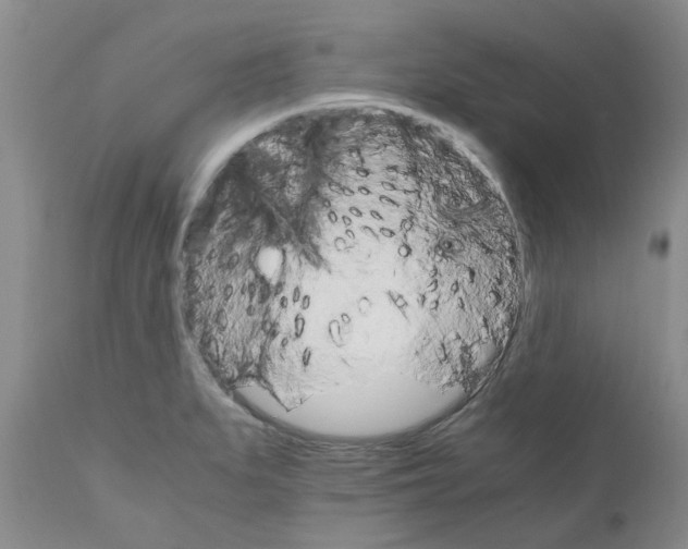 X0000111681279200908281127